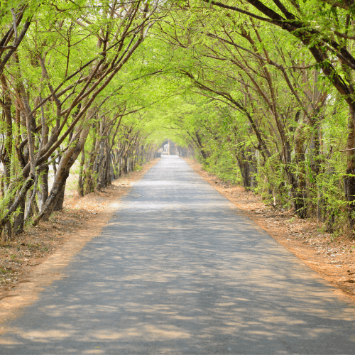 Journey- Asset Tracking 