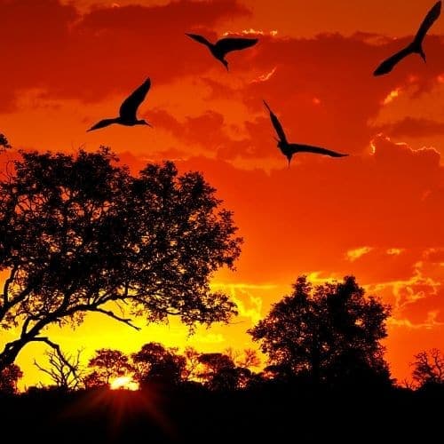 How Honeyguide Are Using itemit For A Not-For-Profit Fixed Asset Register Solution