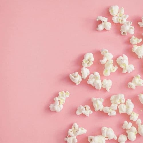 Booking Film & Camera Equipment With Booking Software