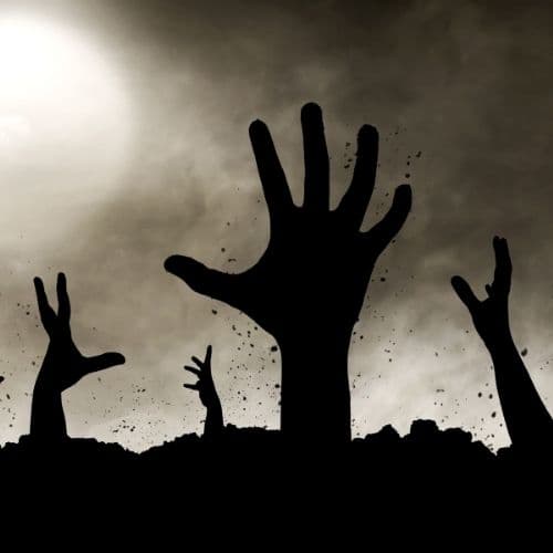 The Cure For Zombie Assets