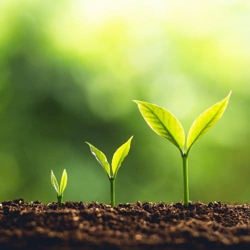 How A Fixed Asset Register Transforms Your Business