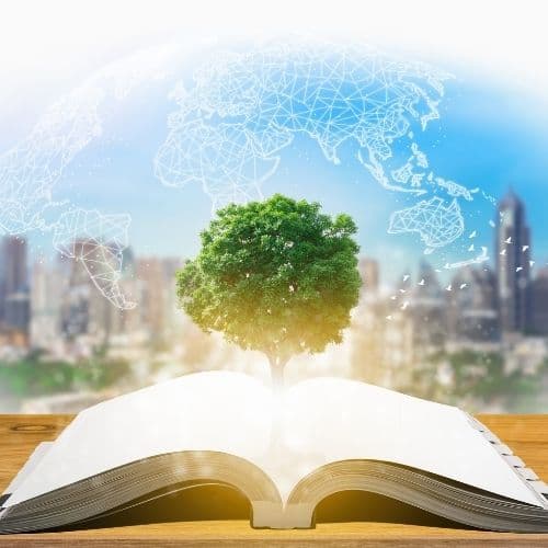 What Is A Fixed Asset Register? Everything You Need To Know